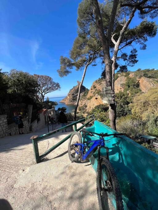 Apartment Climatise En Bord De